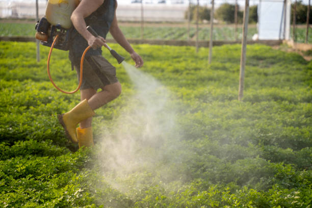 Best Best Pest Control Near Me  in Pahokee, FL