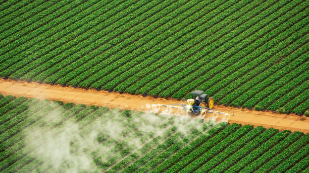 Best Pest Control Near Me in Pahokee, FL